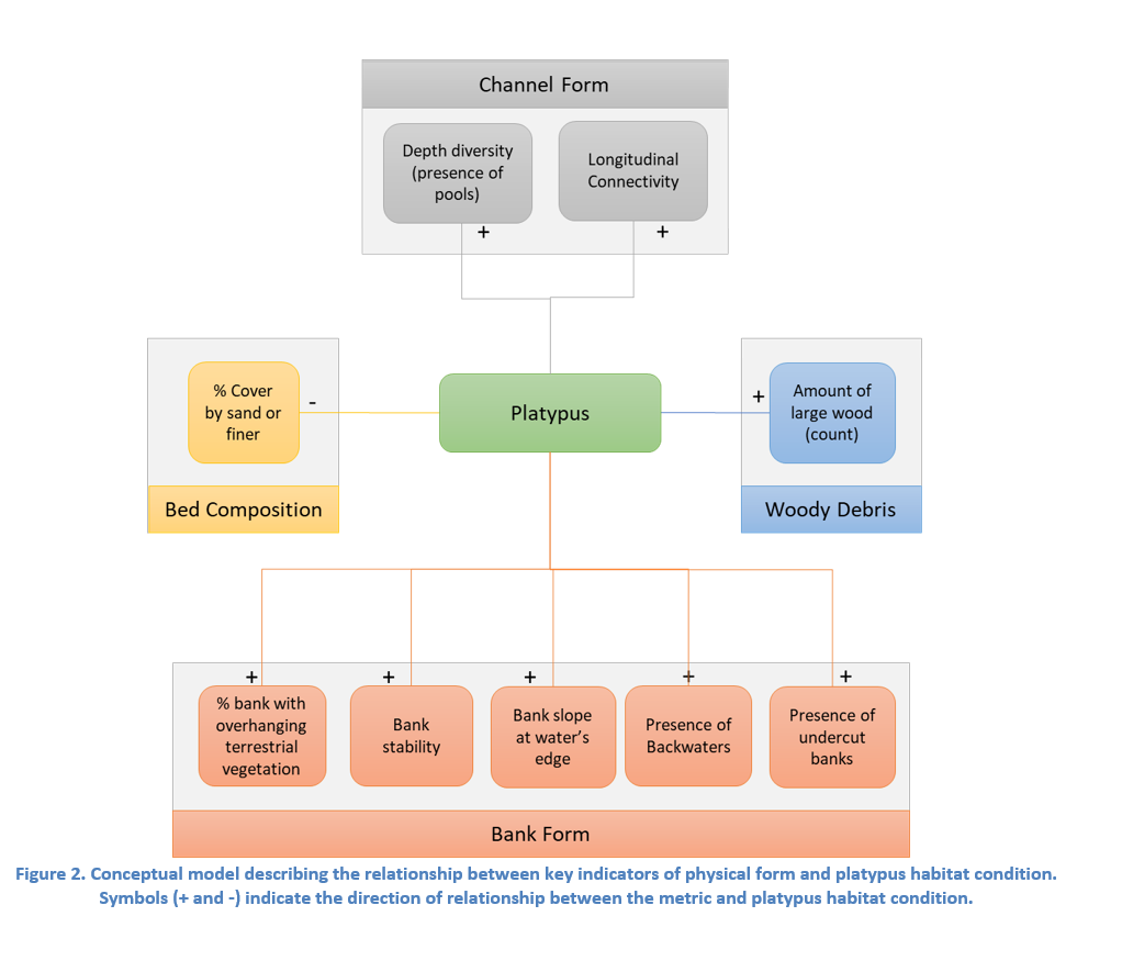 Conceptual Model for Platypus Habitat