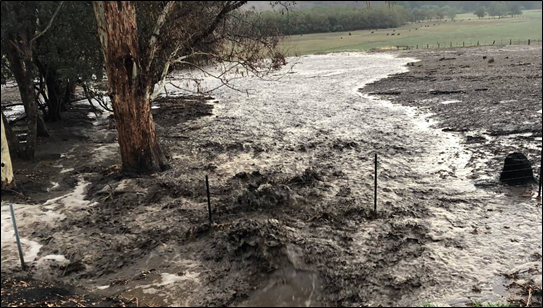 Post bushfires: low water quality from storms.