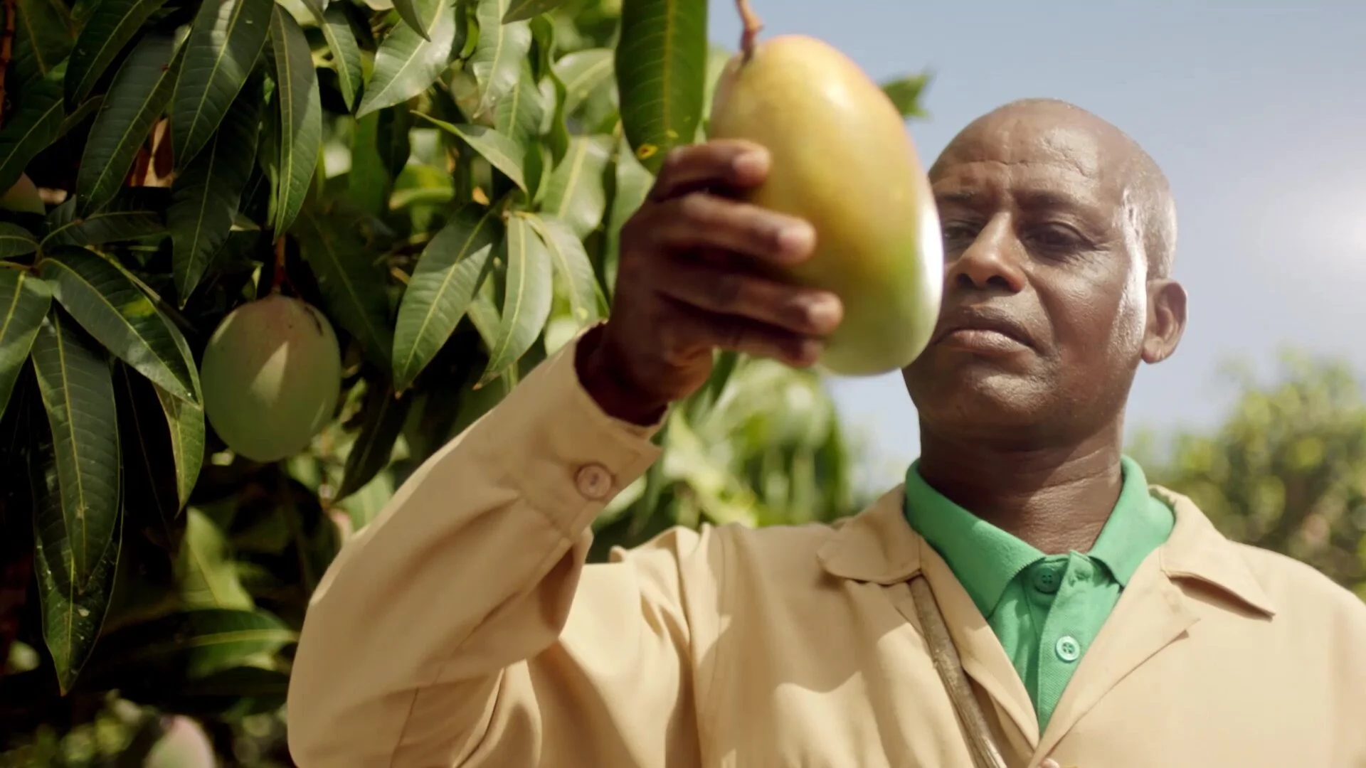 Minute Maid - From Fruit to Juice