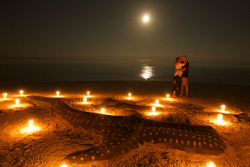 Ken and Karen kiss in the moonlight by the Whale shark sand-sculpture after dinner on the beach.