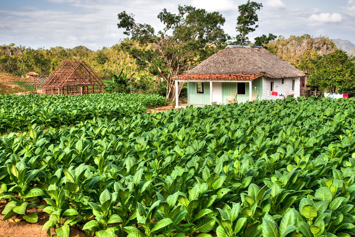 CUB_Vinales-Valley-©-Adobe-Stock-AS_28895317.jpg