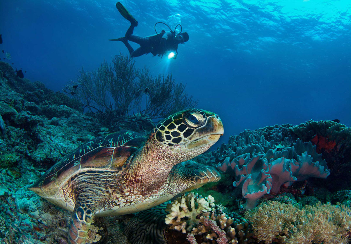underwater-51.jpg