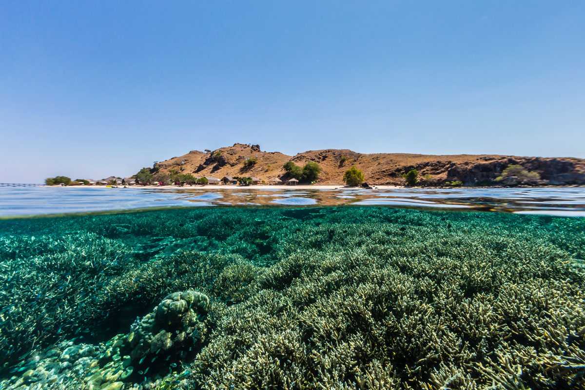 IDN_Komodo-Resort-House-Reef-©-Komodo-Resort-048.jpg