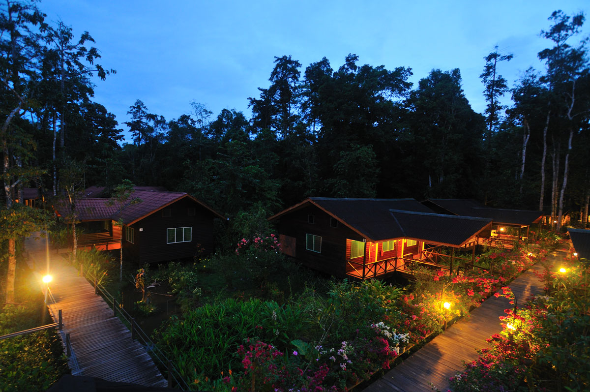 MYS_Lodge-at-night-©-Abai-Jungle-Lodge-001.jpg