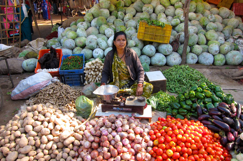 IND_En-route-to-Kanha-©12-Thomas-Baechtold-0086.jpg