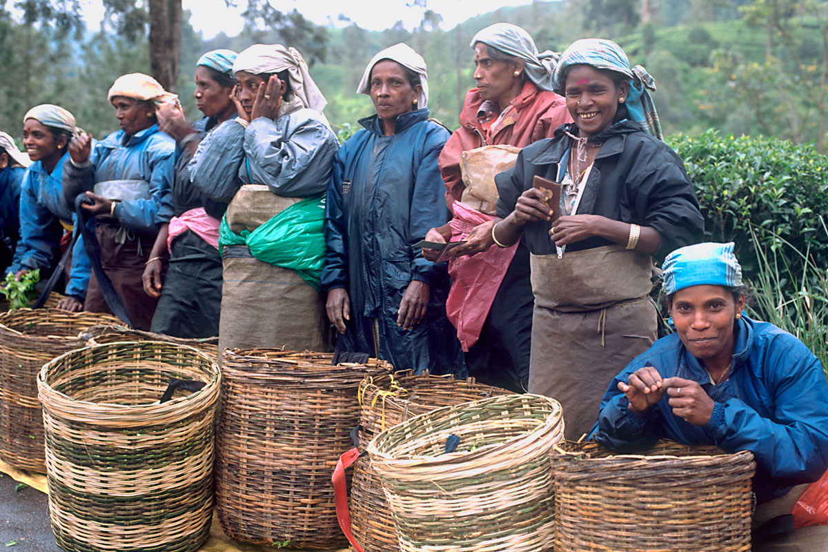 LKA_Tea-pickers-©-Sri-Lanka-Instyle-002.jpg