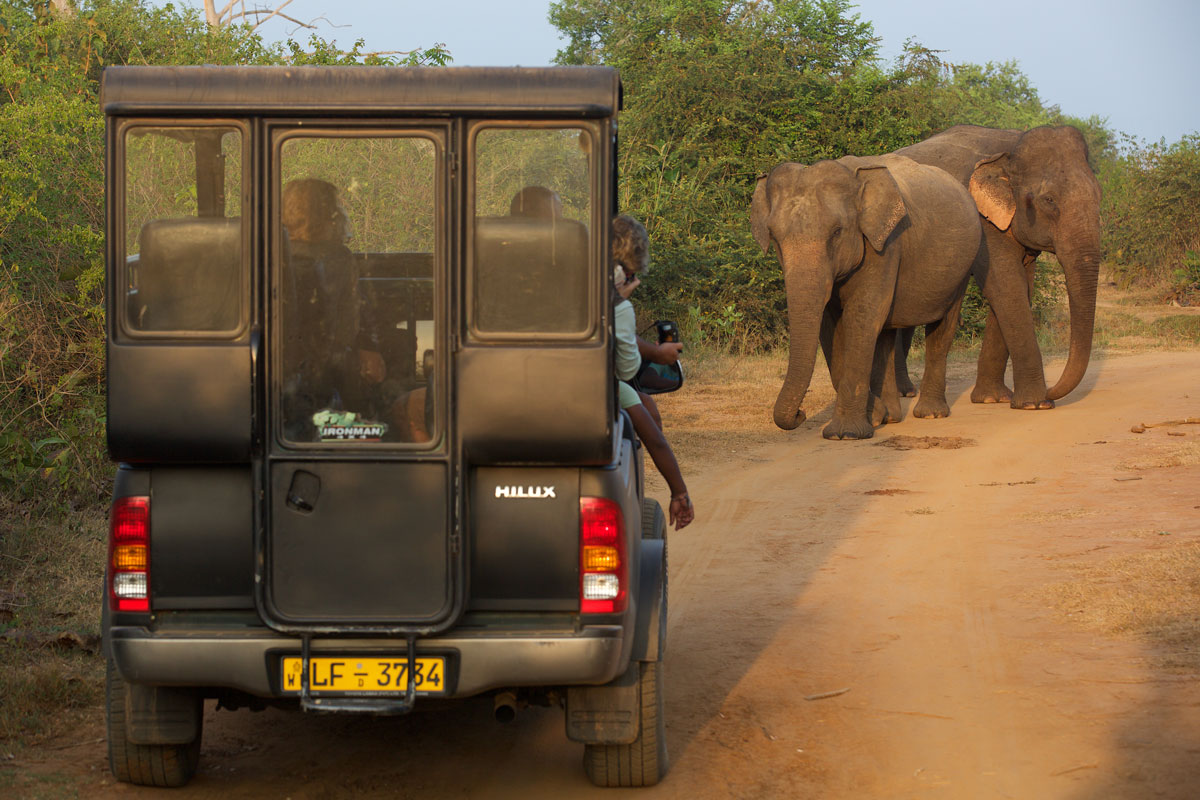 LKA_Uda-Wallawe-©16-Thomas-Baechtold-2841.jpg