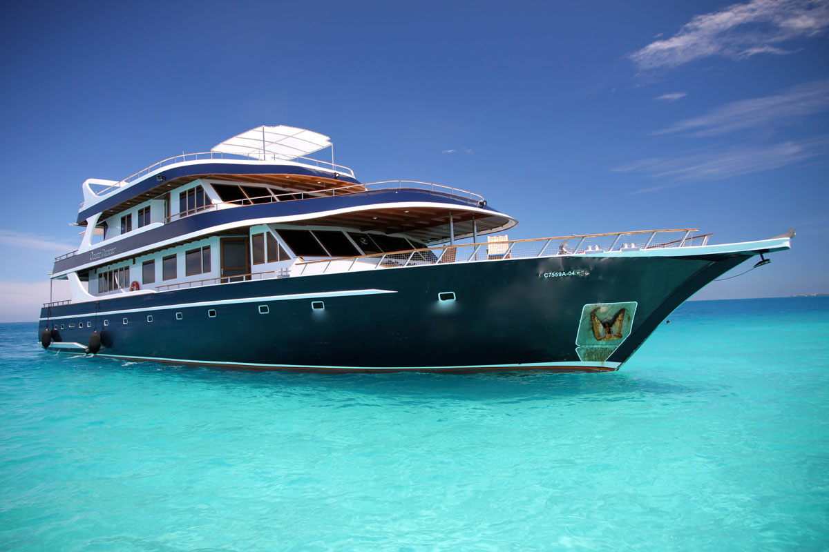 MLV_Ocean-Divine-©-Ocean-Divine-2088.jpg