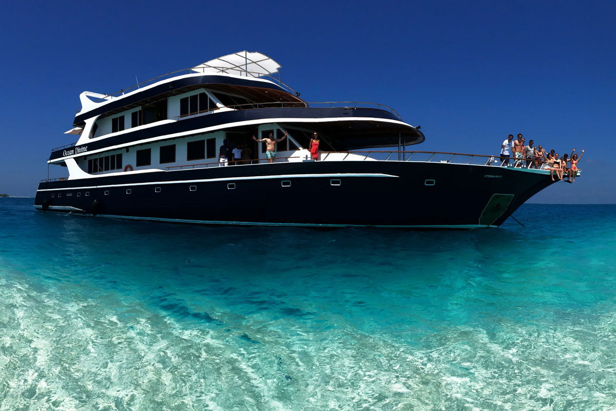 MLV_Ocean-Divine-©-Ocean-Divine-0605_01.jpg