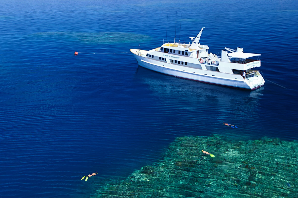AUS_Vessel-Reef-©-Spirit-of-Freedom-2.jpg