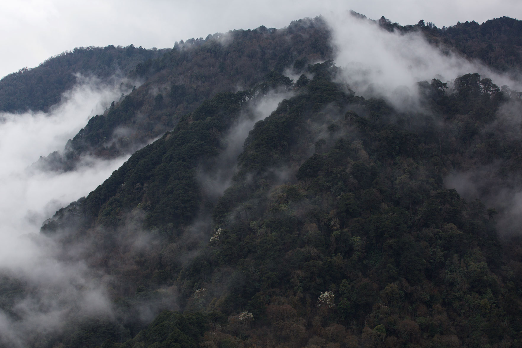 BTN_Bumthang-to-Mongar-©17-Thomas-Baechtold-157.jpg