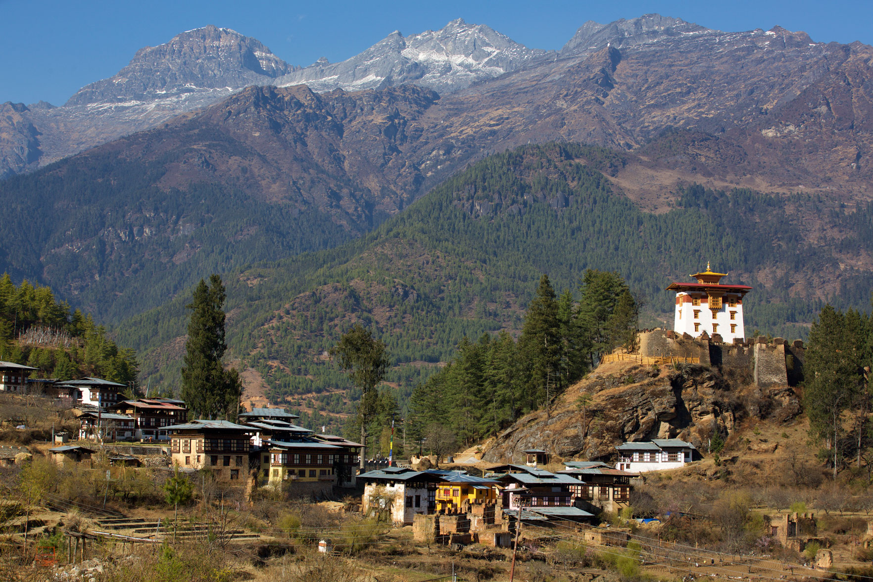 BTN_Sagala-Mountain-pass-trek-and-camp-©17-Thomas-Baechtold-115.jpg