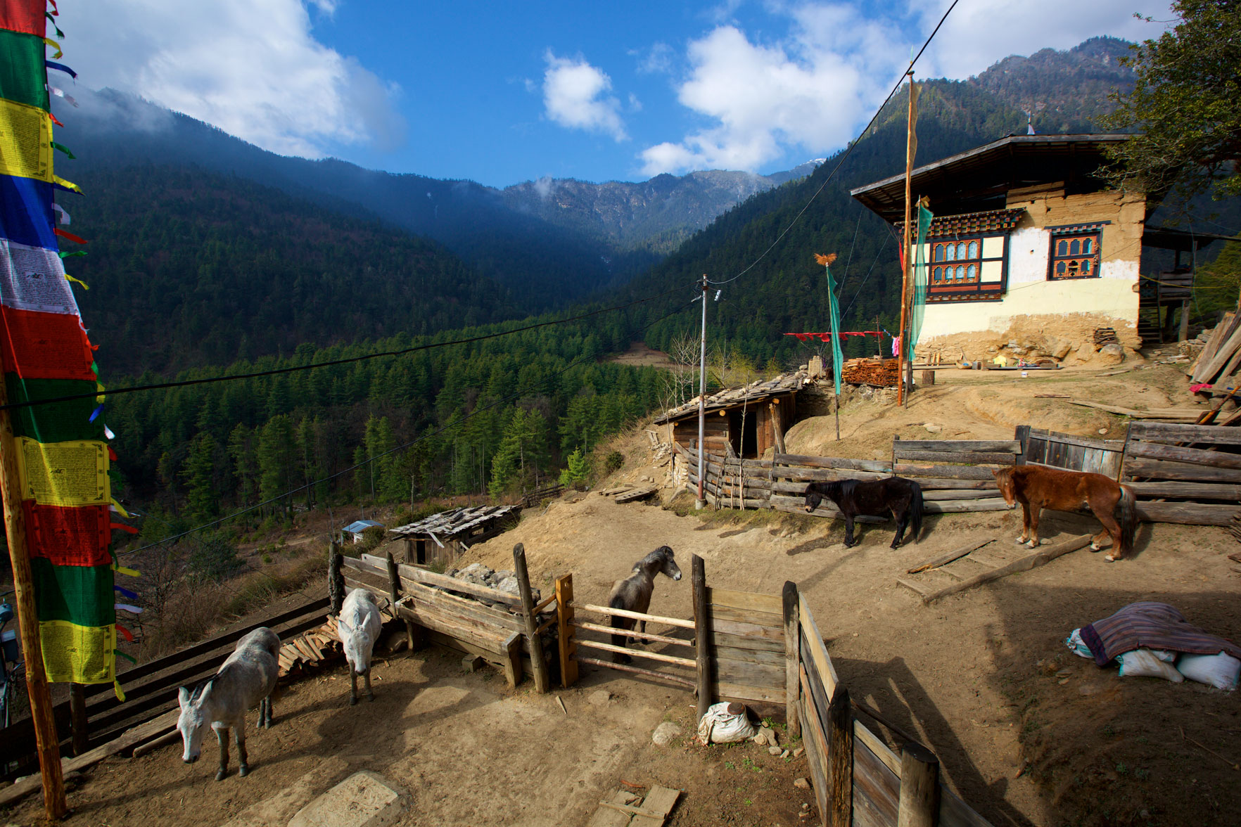 BTN_Sagala-Mountain-pass-trek-and-camp-©17-Thomas-Baechtold-160.jpg