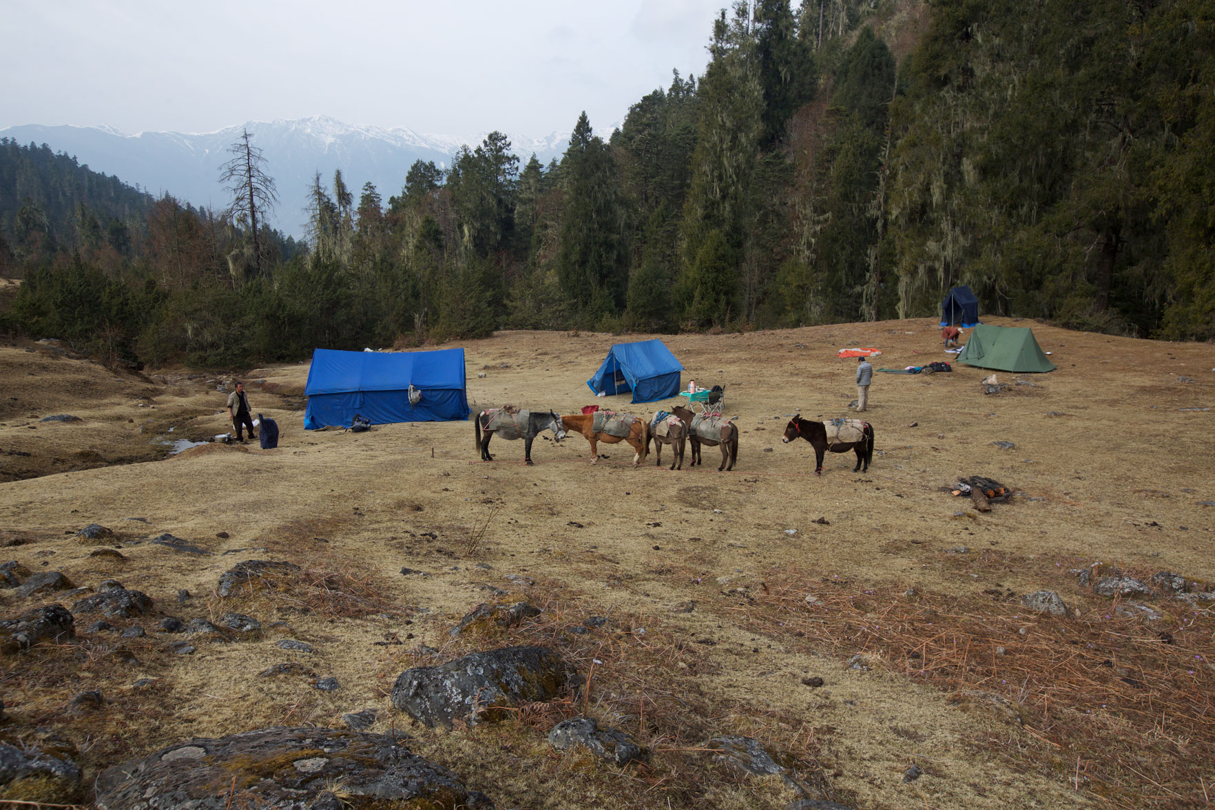 BTN_Sagala-Mountain-pass-trek-and-camp-©17-Thomas-Baechtold-405.jpg