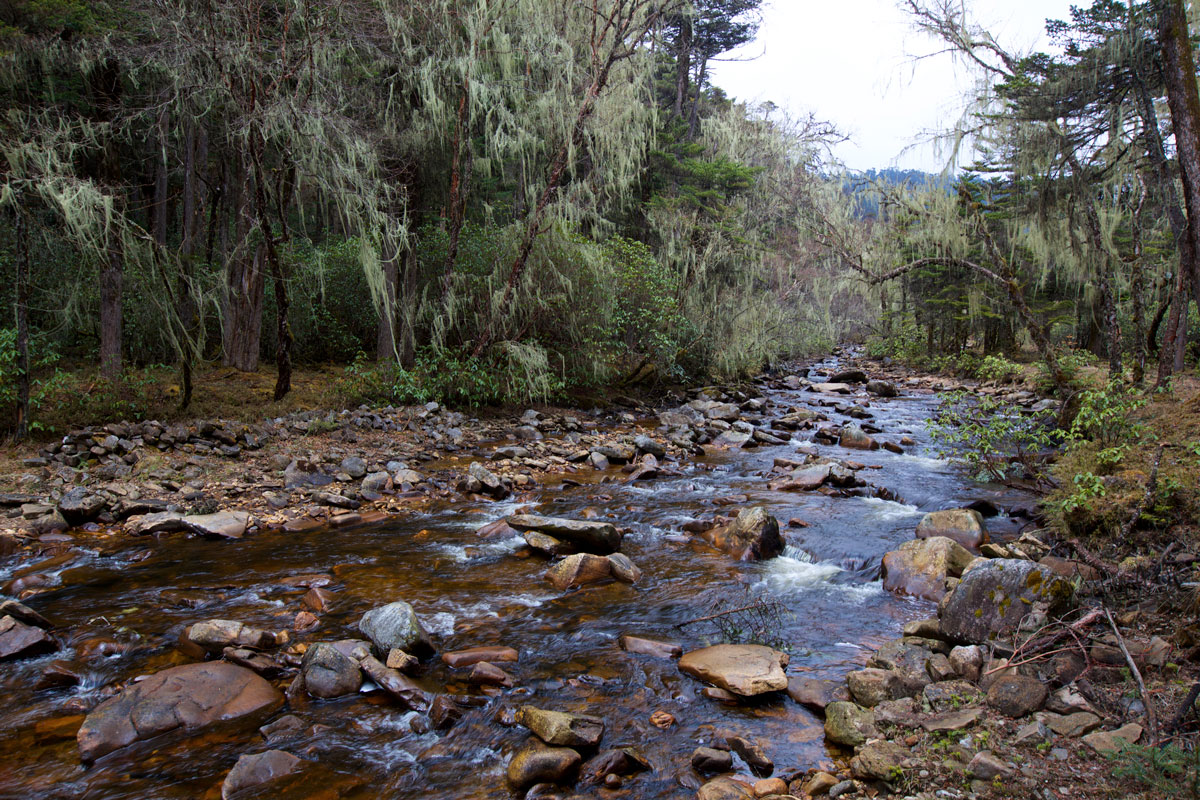 BTN_Bumthang-to-Mongar-©17-Thomas-Baechtold-097.jpg