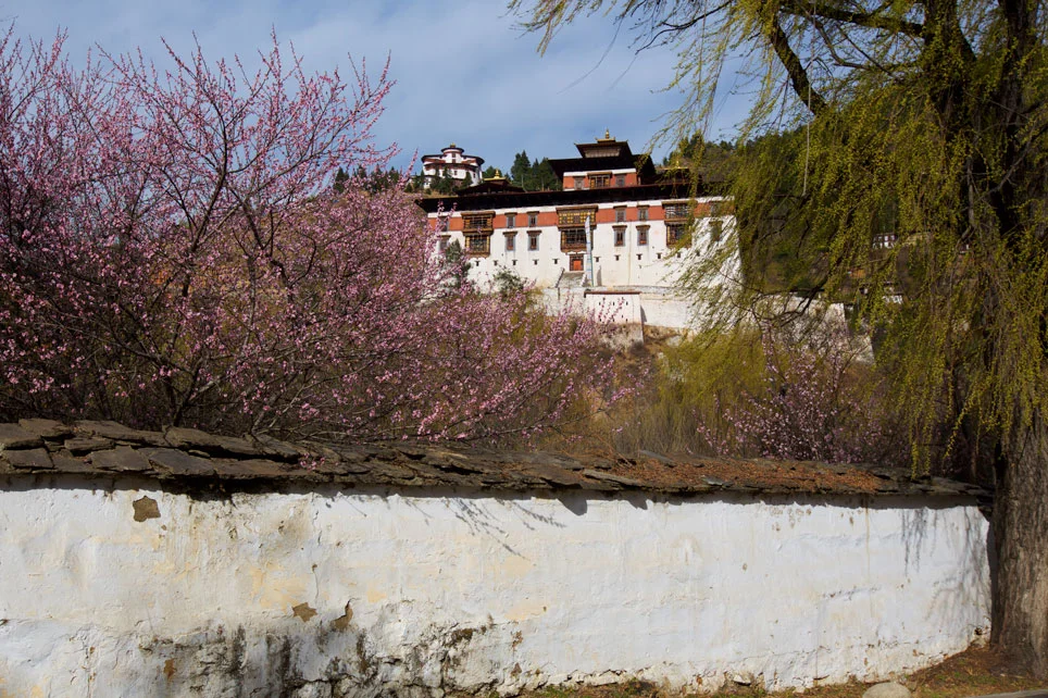 BTN_Paro-©17-Thomas-Baechtold-854.jpg