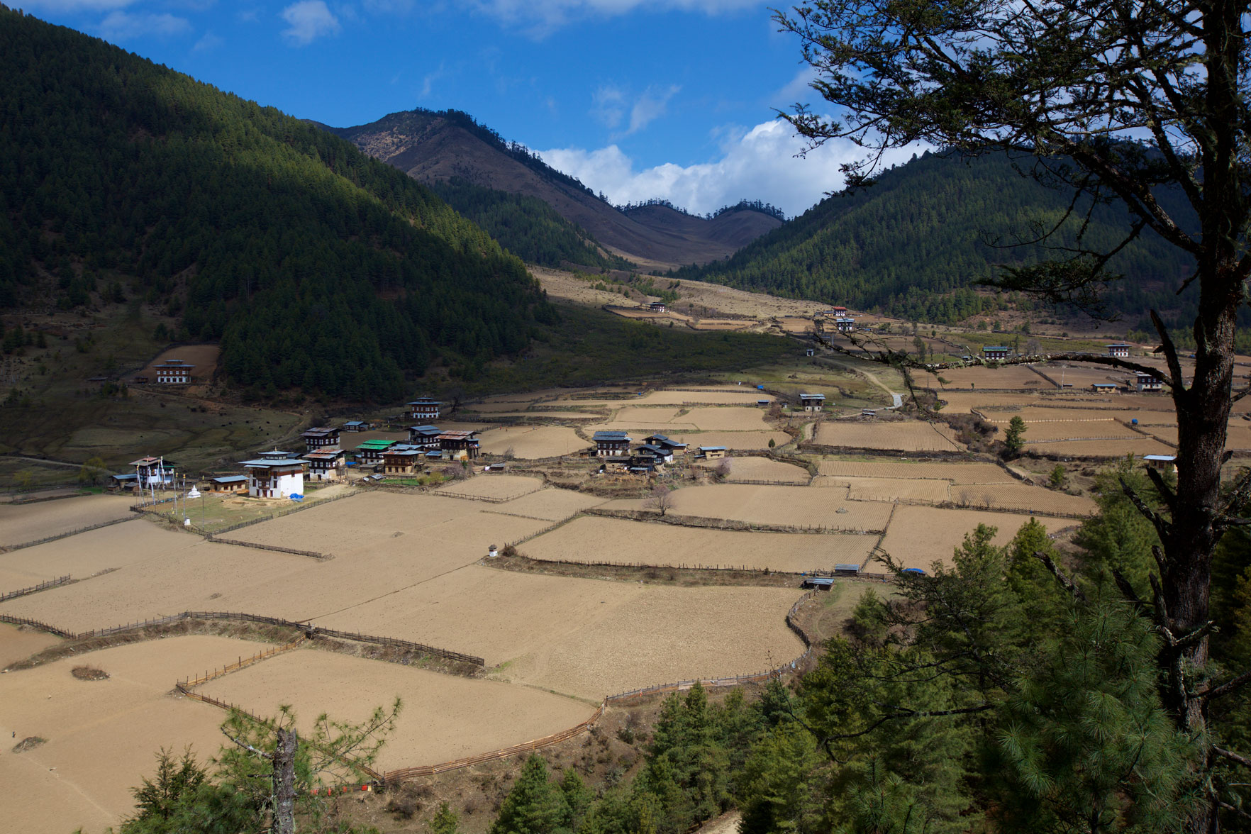 BTN_Phobjikha-valley-©17-Thomas-Baechtold-1156.jpg