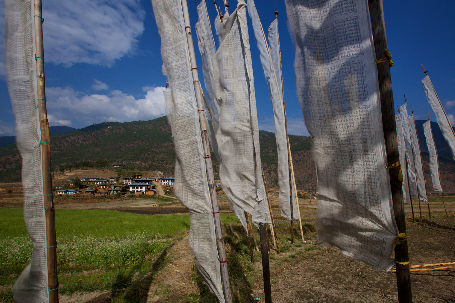 BTN_Thimpu-to-Punakha-©17-Thomas-Baechtold-755.jpg