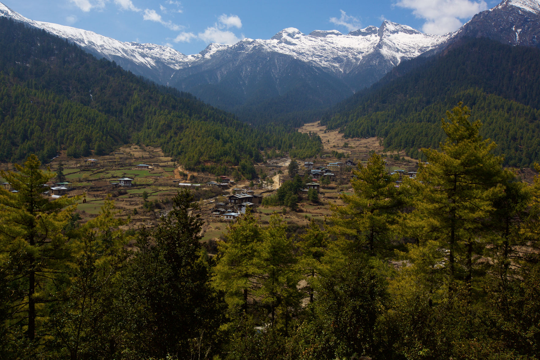 BTN_Sagala-Mountain-pass-trek-and-camp-©17-Thomas-Baechtold-468.jpg