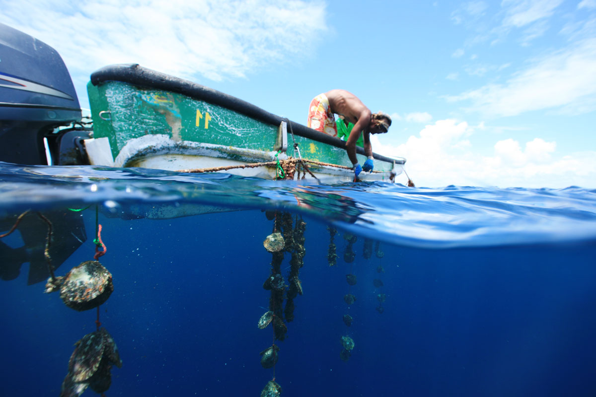 PYF_French-Polynesia-©-Gregoire_Le_Bacon_22970.jpg