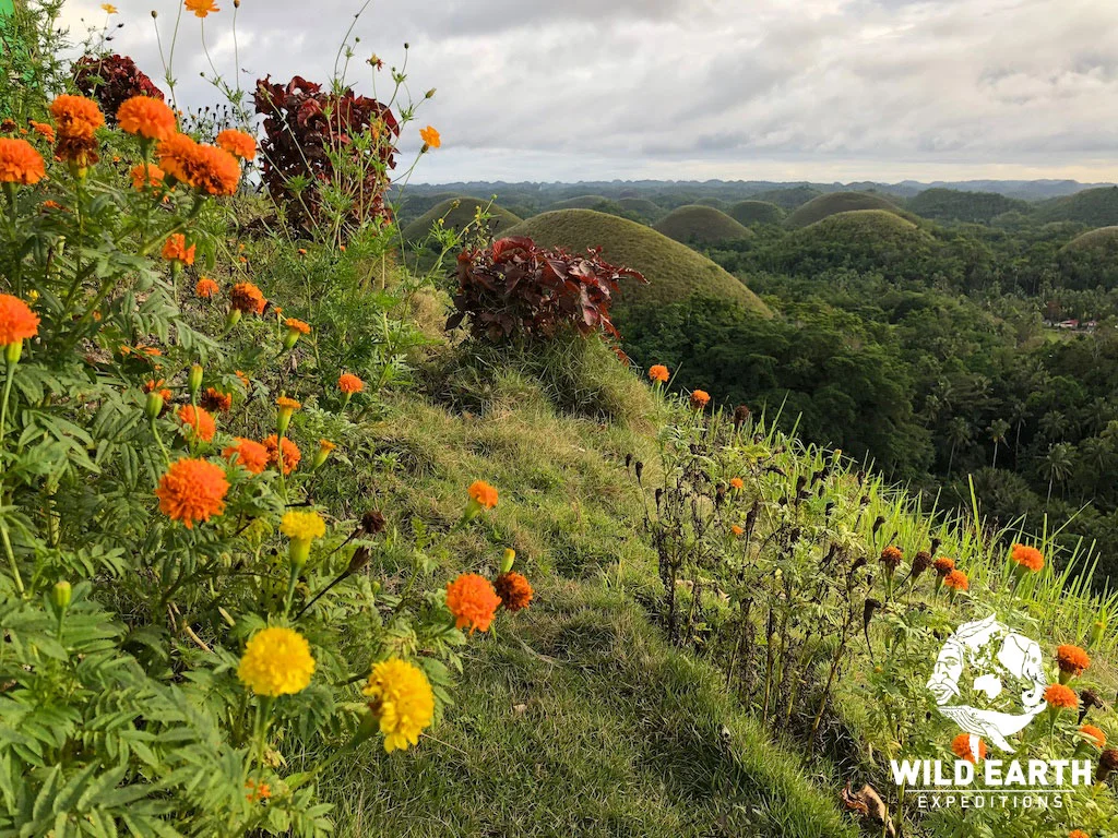 Chocolate Hills, Bohol - Philippines - Wild Earth Expeditions
