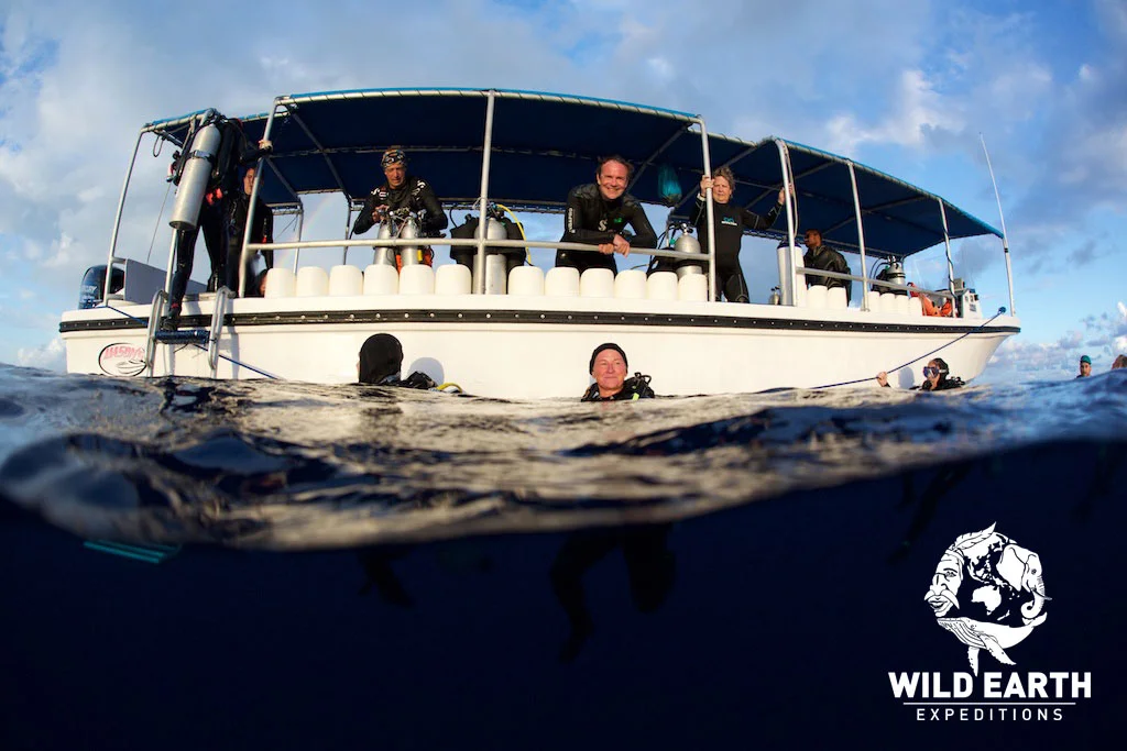 Diving - Palau - Wild Earth Expeditions