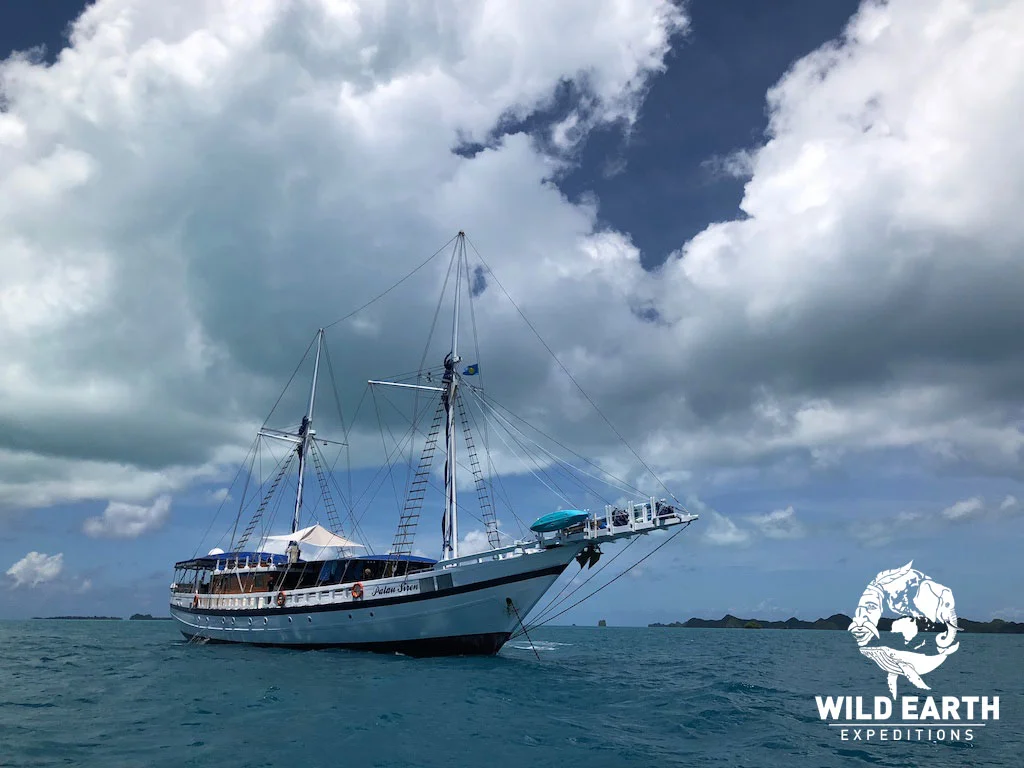 S/Y Palau Siren - Palau - Wild Earth Expeditions