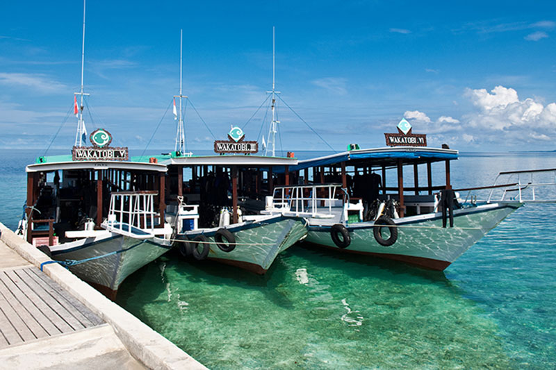 IDN_Wakatobi-Resort-Dive-Boats-©-Wakatobi-Resort-33.jpg