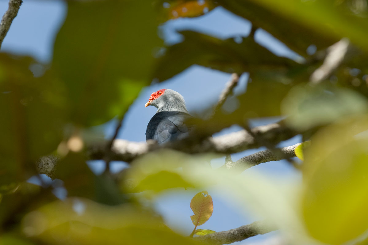 SYC_Praslin-©08-Thomas-Baechtold-0138.jpg