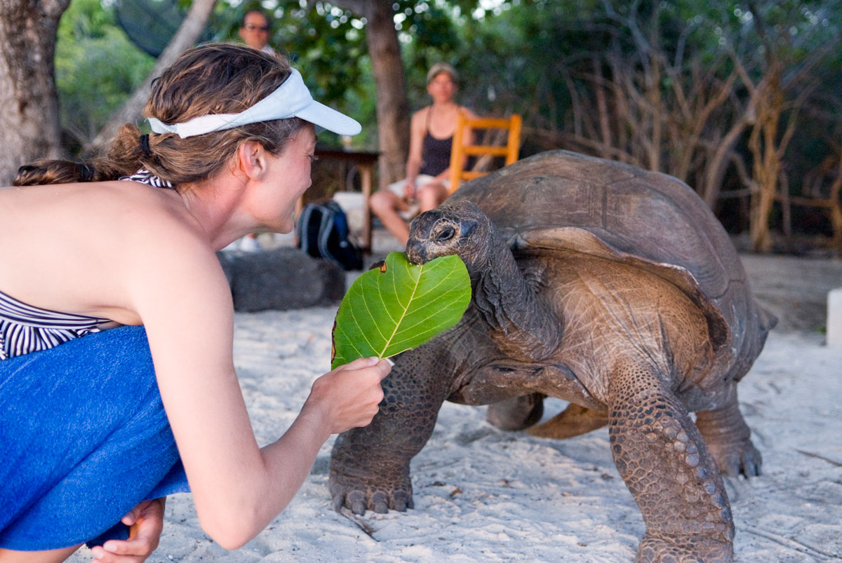 SYC_Aldabra-©08-Thomas-Baechtold-0074.jpg