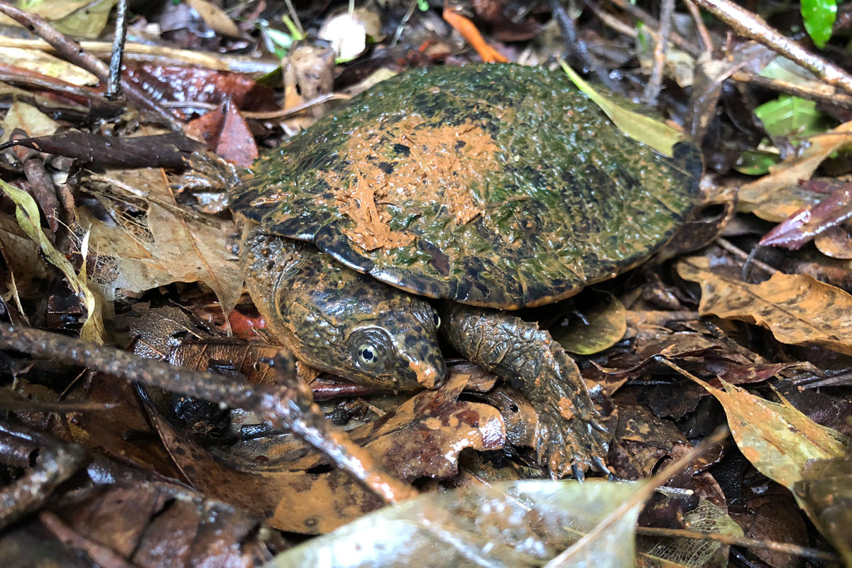 Australia - Wild Earth Expeditions
