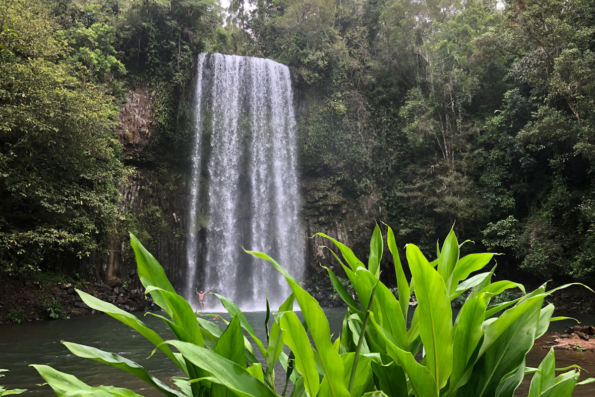 Malanda Falls - Australia - Wild Earth Expeditions