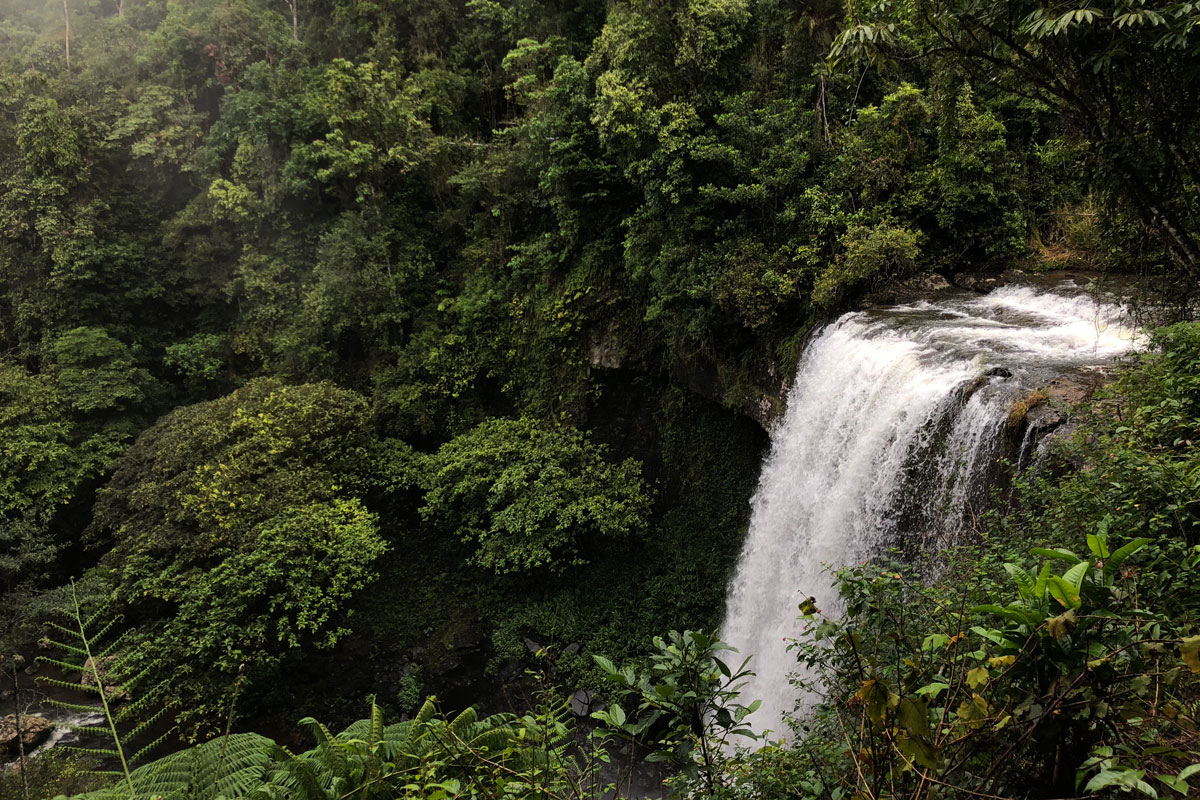 Malanda Falls - Australia - Wild Earth Expeditions