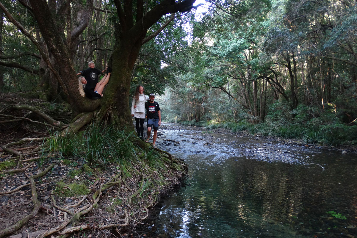 Daintree Forest - Australia - Wild Earth Expeditions