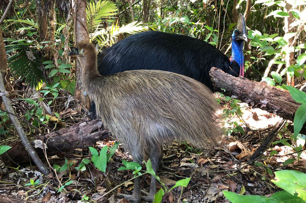 Australia - Wild Earth Expeditions