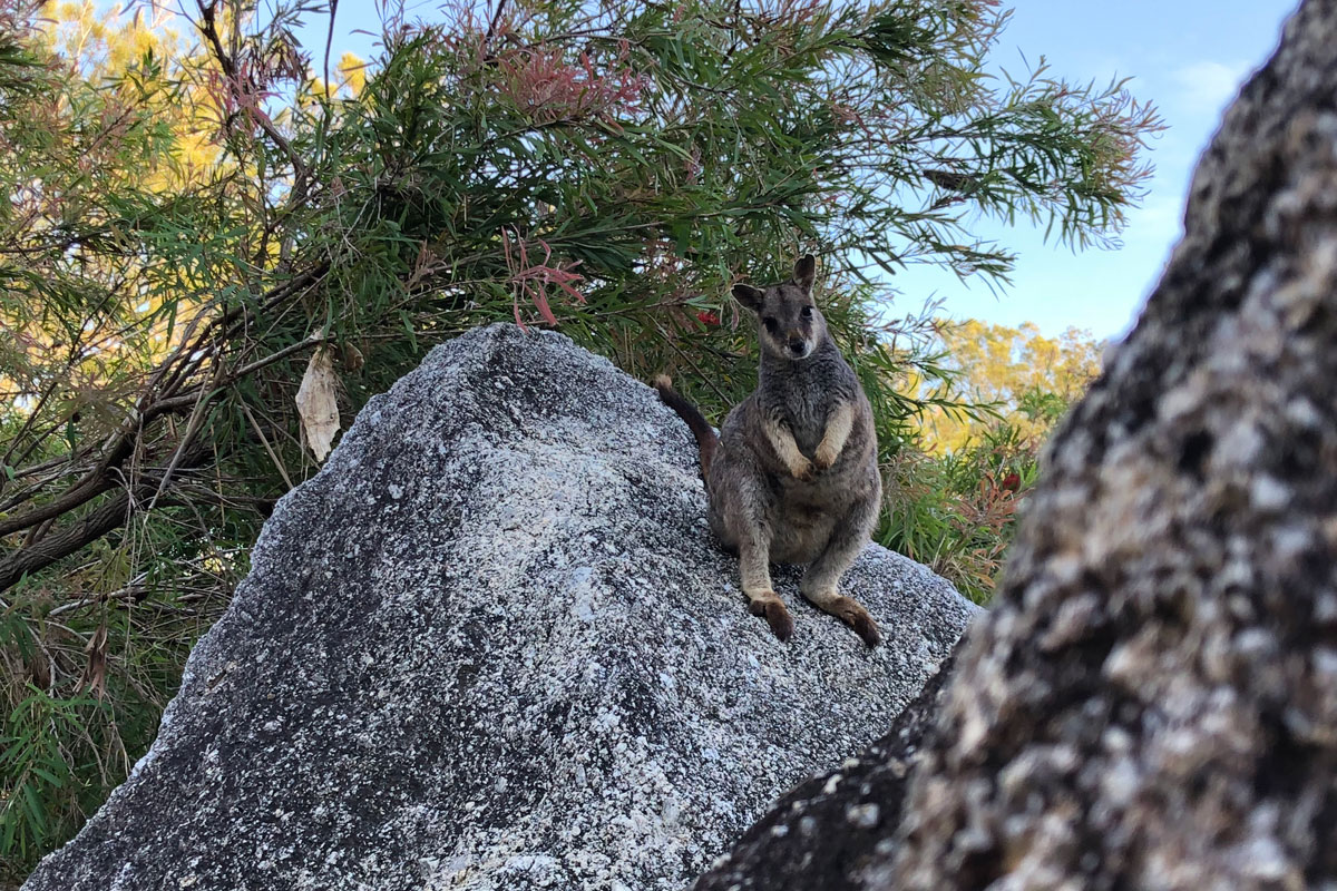 Australia - Wild Earth Expeditions