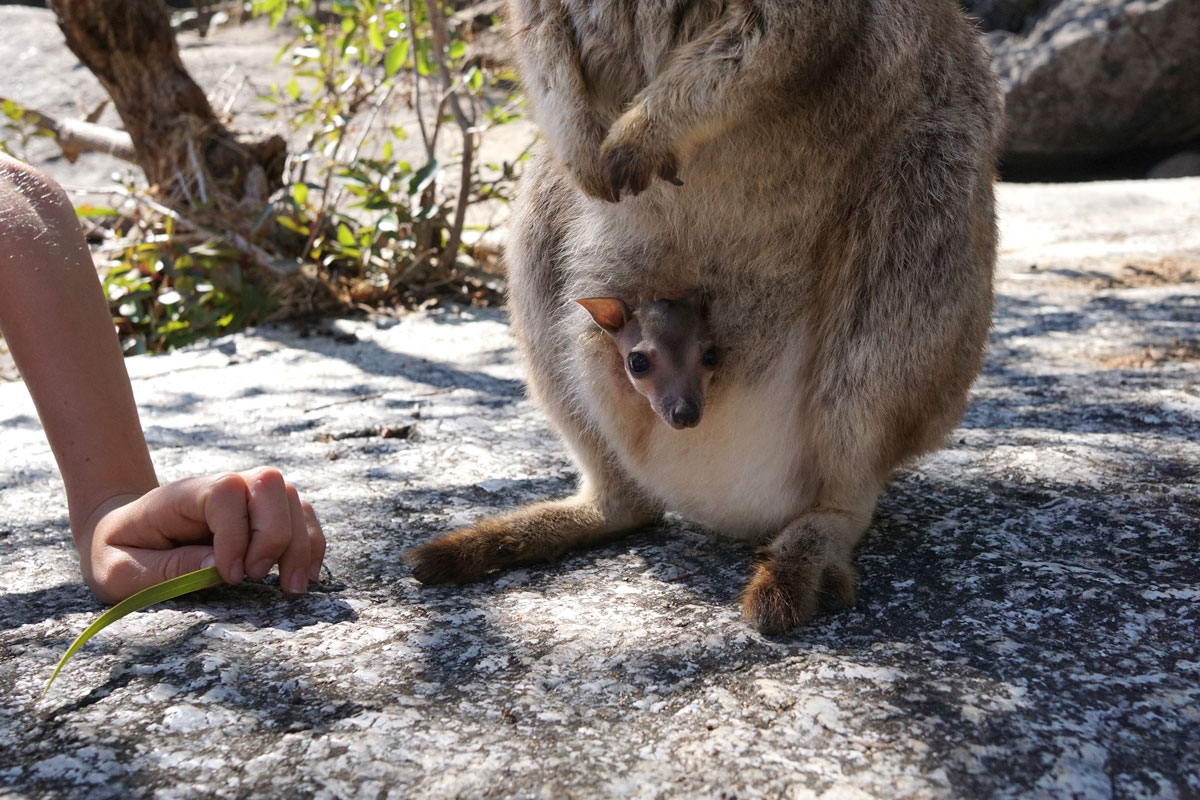 Australia - Wild Earth Expeditions