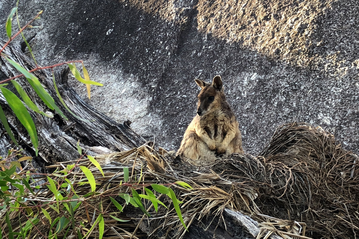 Australia - Wild Earth Expeditions