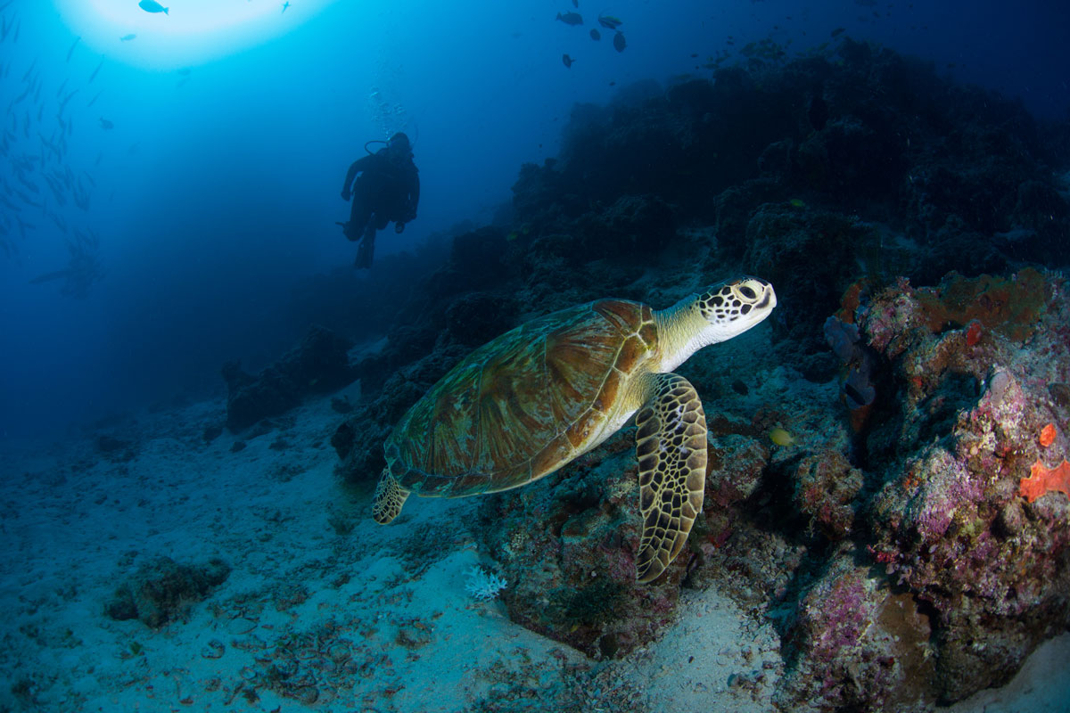 Australia - Wild Earth Expeditions