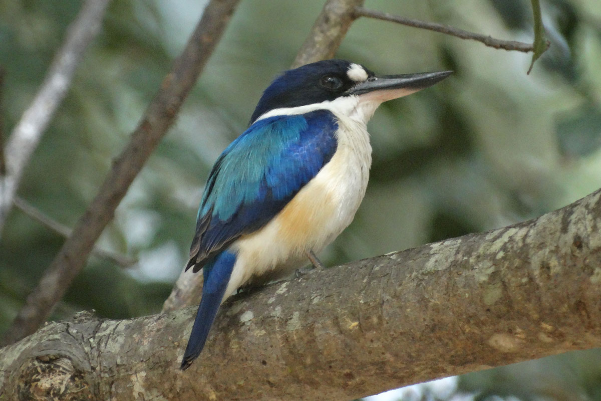 Australia - Wild Earth Expeditions