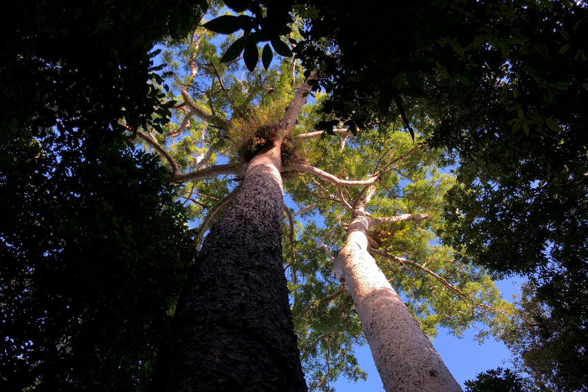 Australia - Wild Earth Expeditions