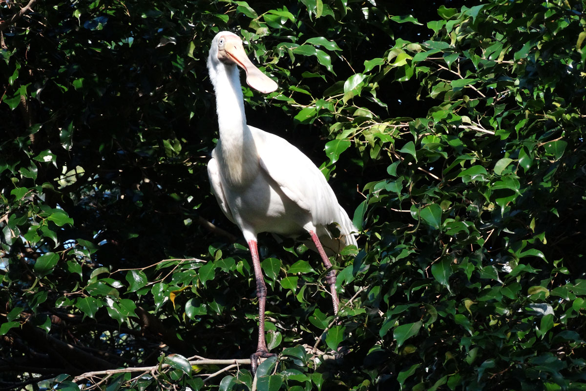 Australia - Wild Earth Expeditions