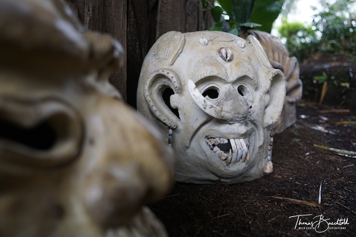 Asaro Mudmen - Papua New Guinea - Wild Earth Expeditions