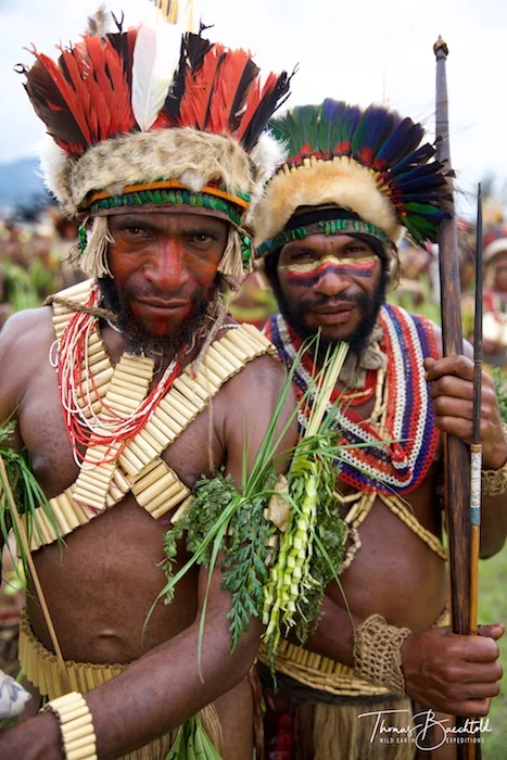 Tribesmen, Goroka - Papua New Guinea - Wild Earth Expeditions