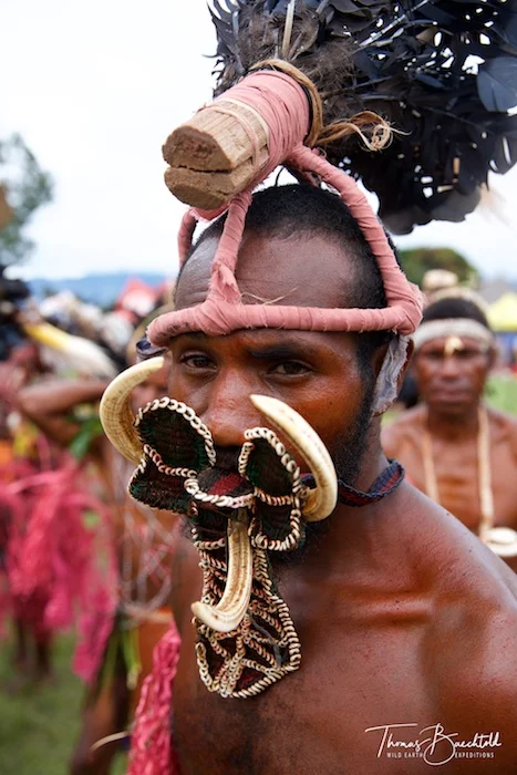 Tribesman, Goroka - Papua New Guinea - Wild Earth Expeditions