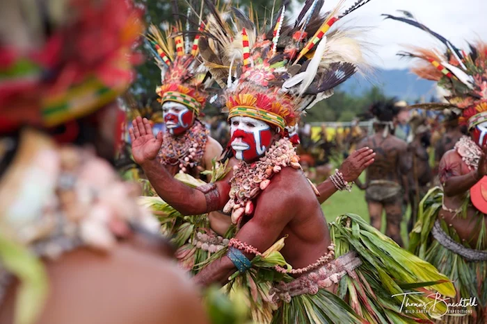 Tribesmen, Goroka - Papua New Guinea - Wild Earth Expeditions