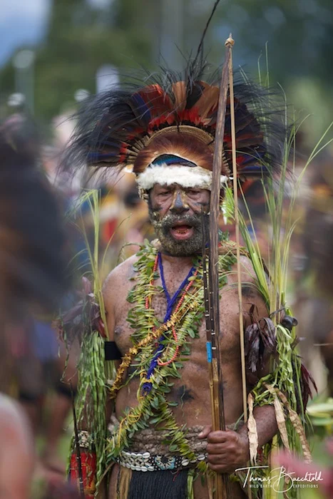 Tribesman, Goroka - Papua New Guinea - Wild Earth Expeditions
