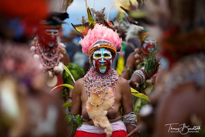 Tribeswoman, Goroka - Papua New Guinea - Wild Earth Expeditions