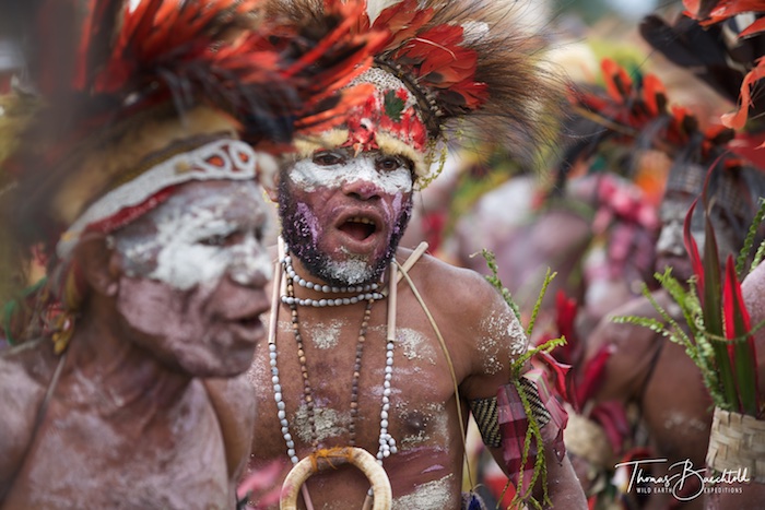Tribesmen, Goroka Show - Papua New Guinea - Wild Earth Expeditions