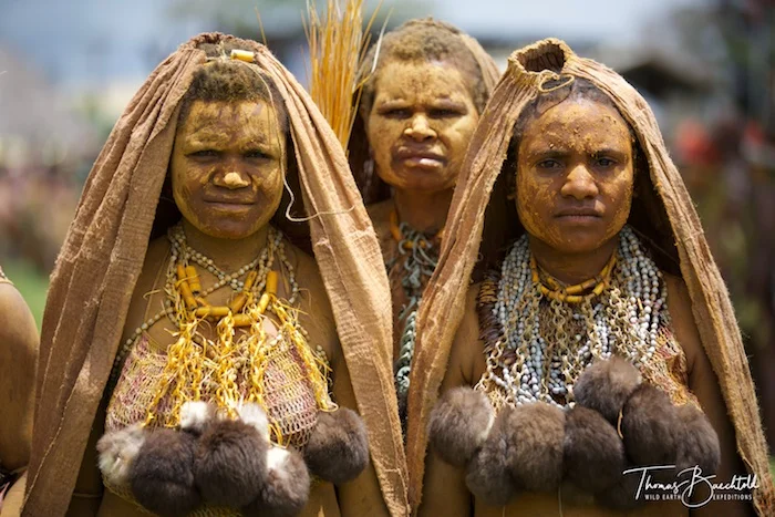 Tribeswomen, Goroka Show - Papua New Guinea - Wild Earth Expeditions